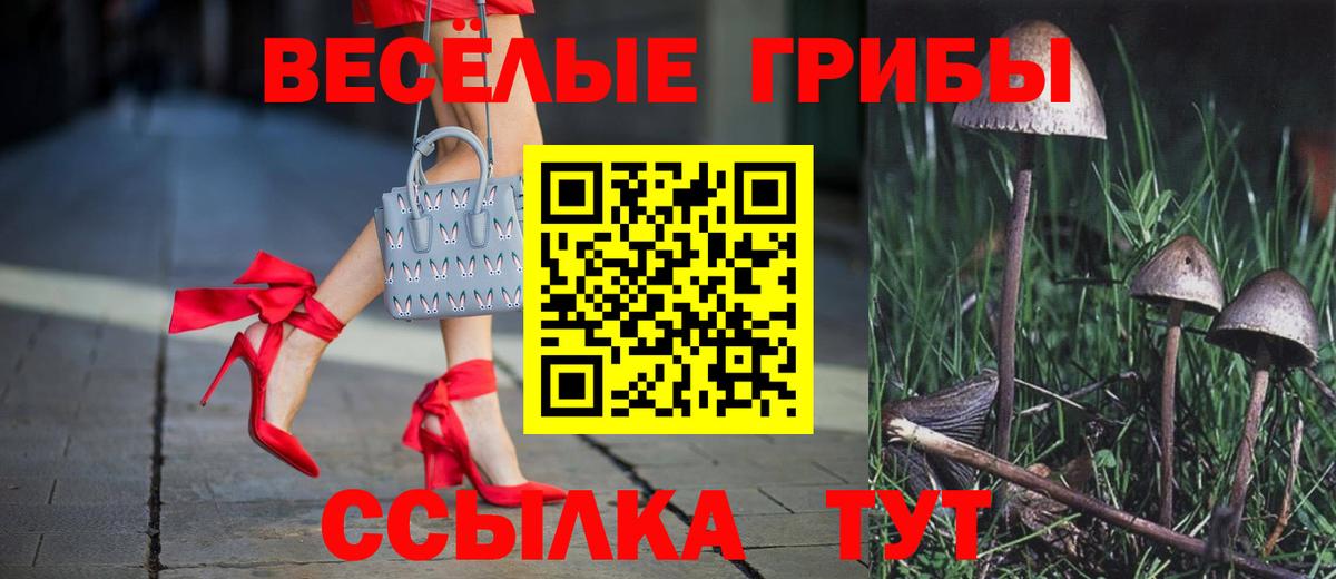 Галлюциногенные грибы MAGIC MUSHROOMS Новочебоксарск