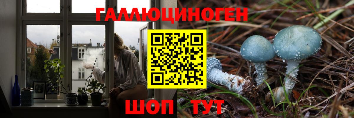 Галлюциногенные грибы мухоморы  Вход с VPN  Галлюциногенные грибы ЛСД  Новочебоксарск 